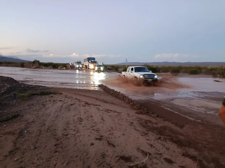 WhatsApp-Image-2026-01-25-at-21.36.22-728x546