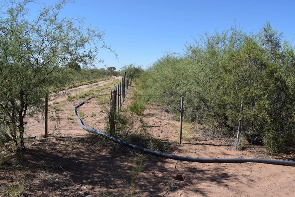 144389384_3763874923655685_3787039497757659431_n