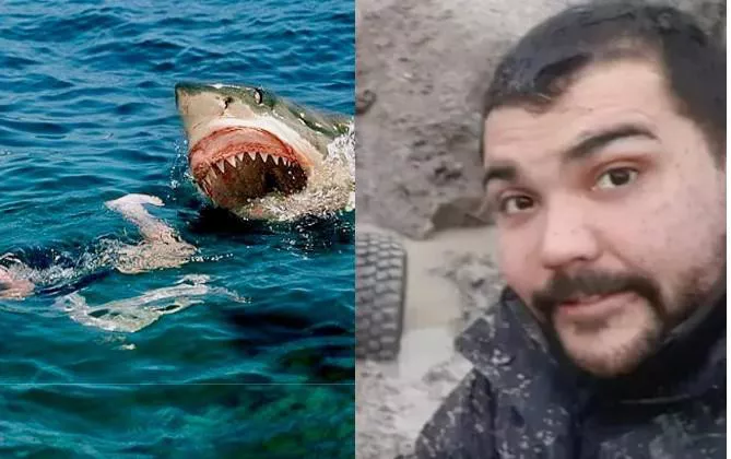 multimedia.normal.a872587e8c8a4e2c.53696e2074c3ad74756c6f5f6e6f726d616c2e6a7067