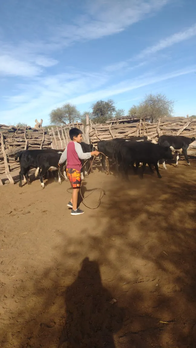 4d62f6a6-259e-4ae3-af59-d76e35dccb70