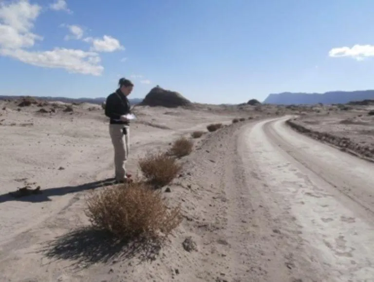 multimedia.normal.86faecfe2fc82cb2.6637363878312d3232373939335f3232383132305f353035305f6e6f726d616c2e6a7067