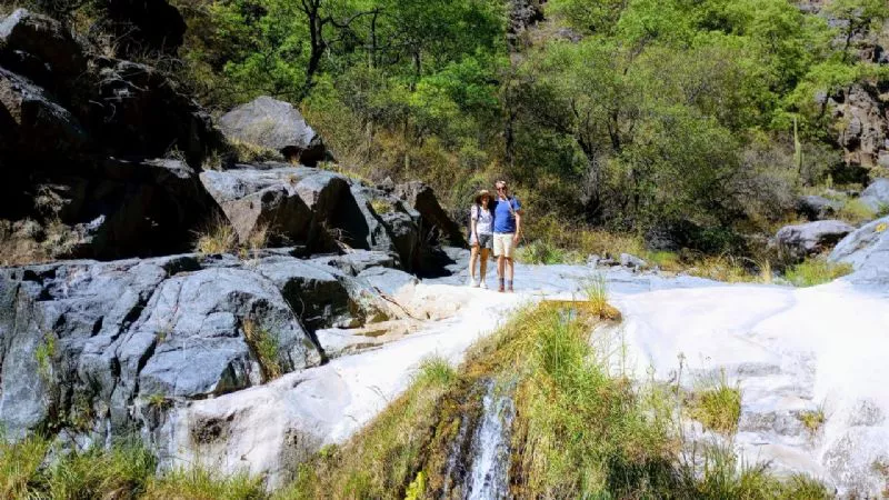 multimedia.normal.bb67db887a12d7d4.66383030783435302d3333303135305f3338313539365f353035305f6e6f726d616c2e77656270