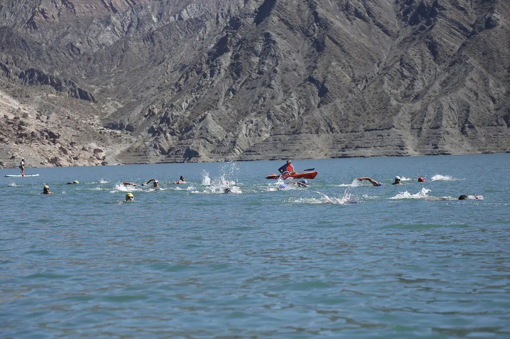 53362263579_7e64b7370d_b