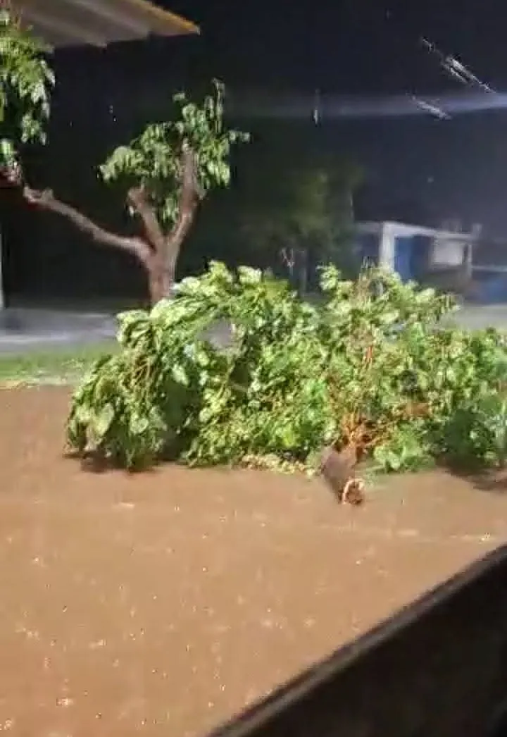 FB_IMG_1740900352811