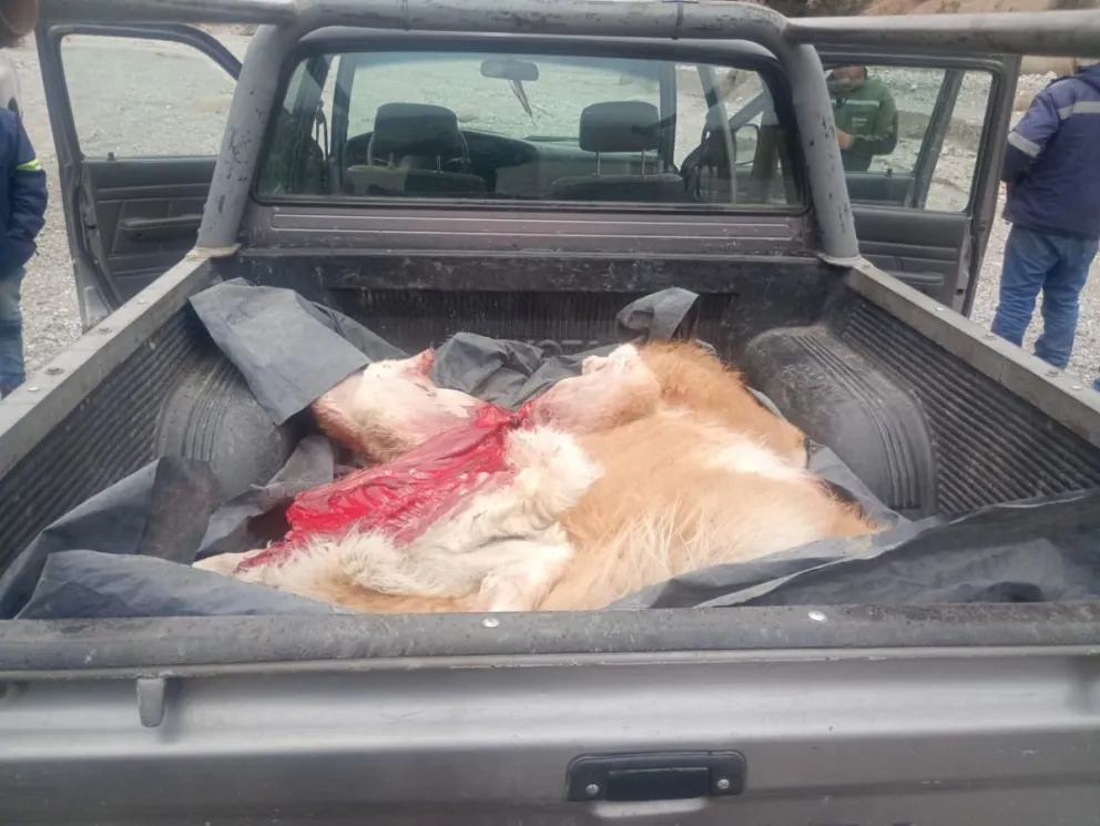 md - 2025-08-08T103906.433