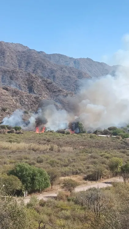 12175657-1c7a-4f3a-b1a6-e3ded0fbf657