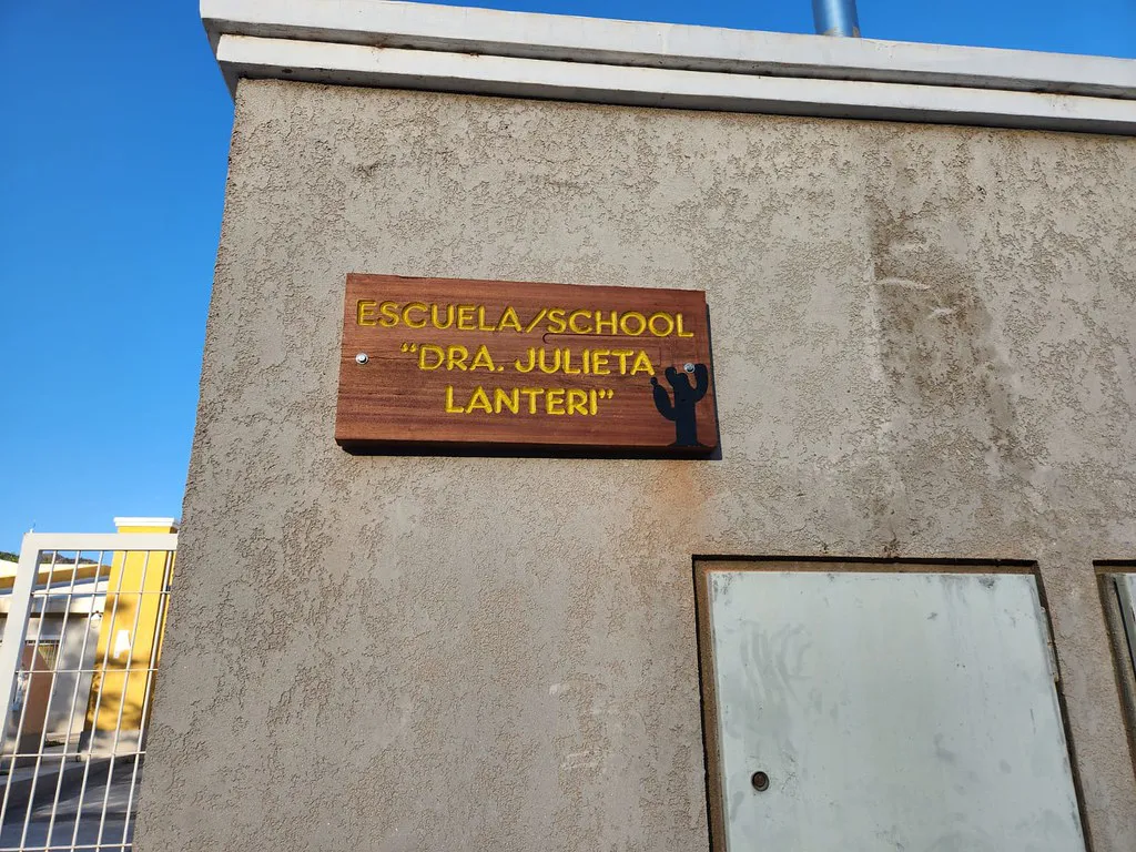 53362376433_309946e70c_b