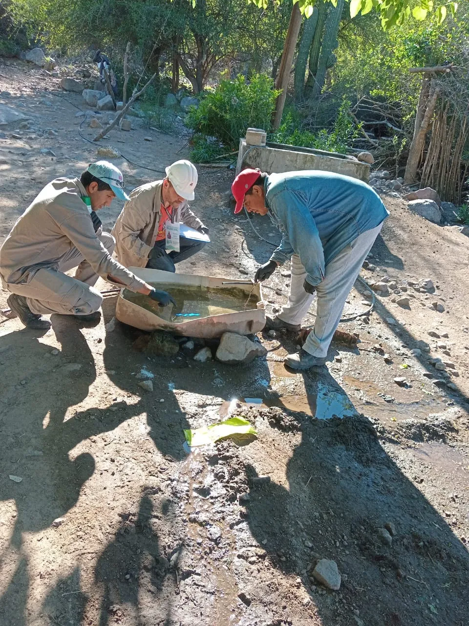 464623049_965882605566696_7550110744443729991_n