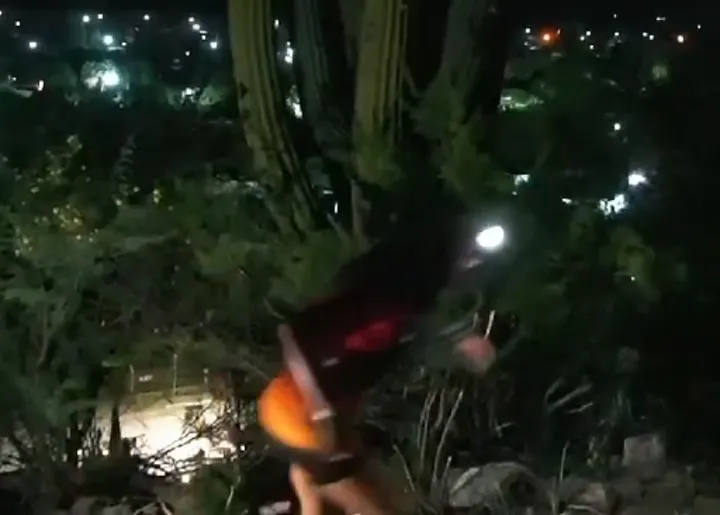 Screenshot_20250223-130714~2