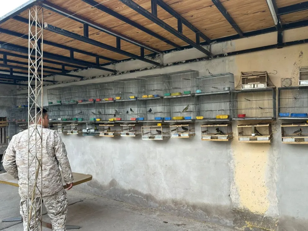 md - 2026-01-10T134502.987