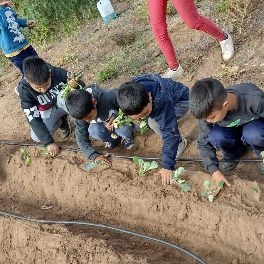 349148636_621651156687669_743376609158567354_n