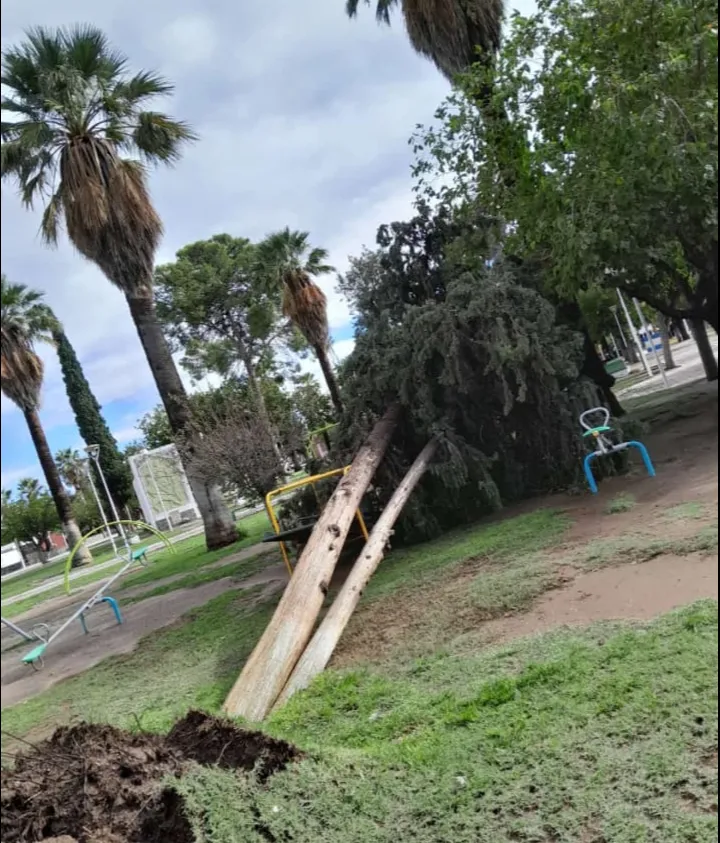 Screenshot_20250302-105306~2