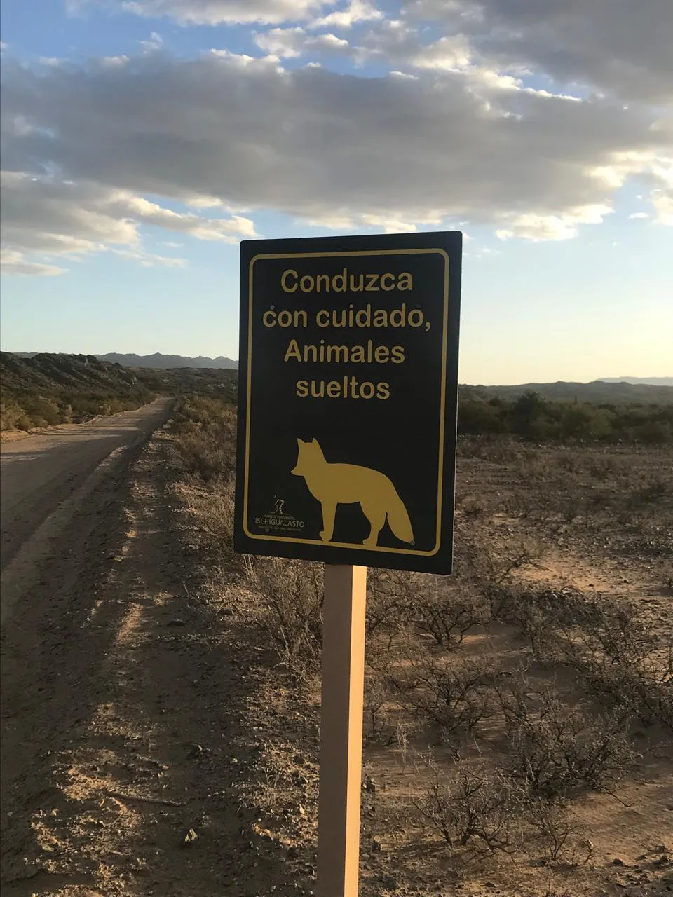 0700bead-83b8-454b-b2b2-582d17adfd85