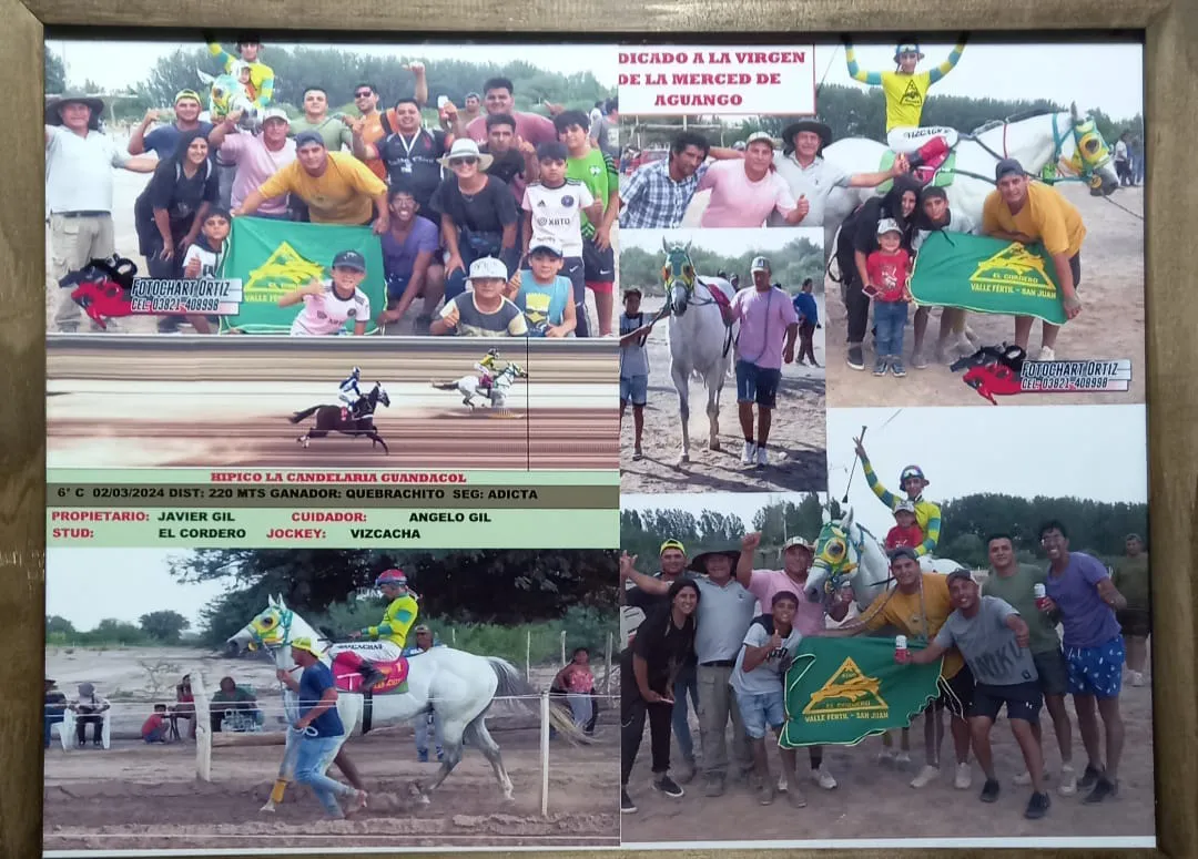 4d74f3f1-3422-4c74-9cde-0cd724bdfa20