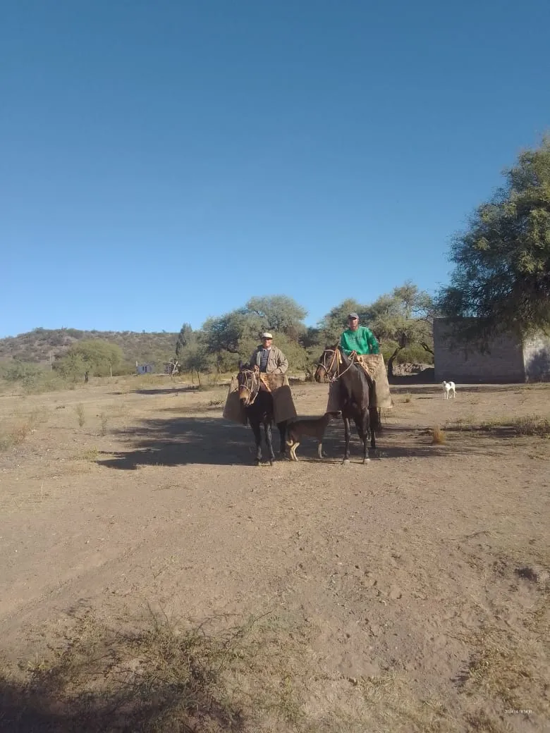 bd7a4248-83ec-4b8c-a264-a02cb645232e