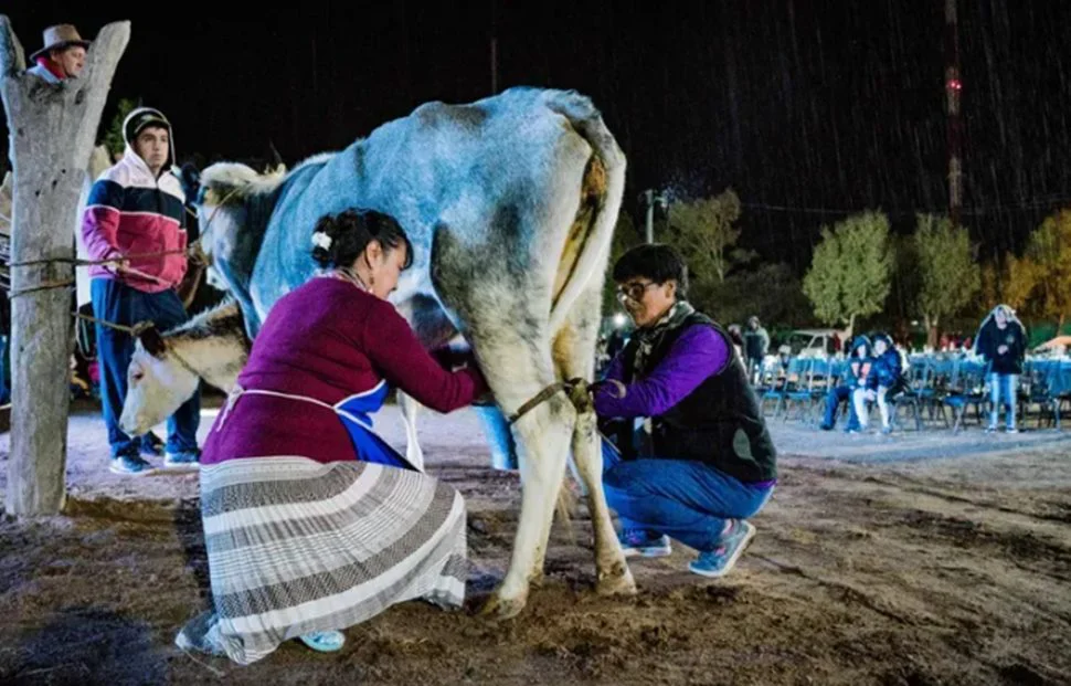 multimedia.normal.99a07f20e69e54f0.bm9ybWFsLndlYnA=