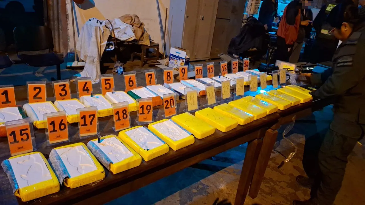 la_rioja_narcotrafico_29_kg_cocaina_2