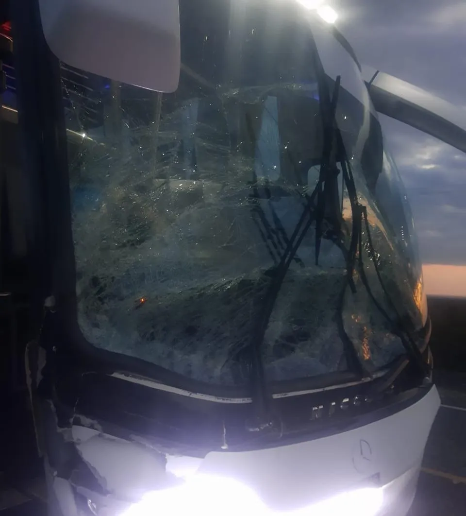 colectivo_2_crop1668180854470