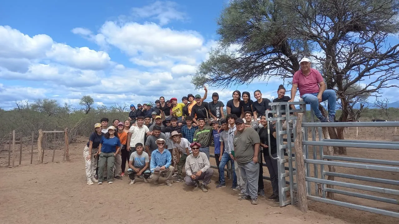 3de97b78-c5d6-41a6-bc65-f9b4d92db537