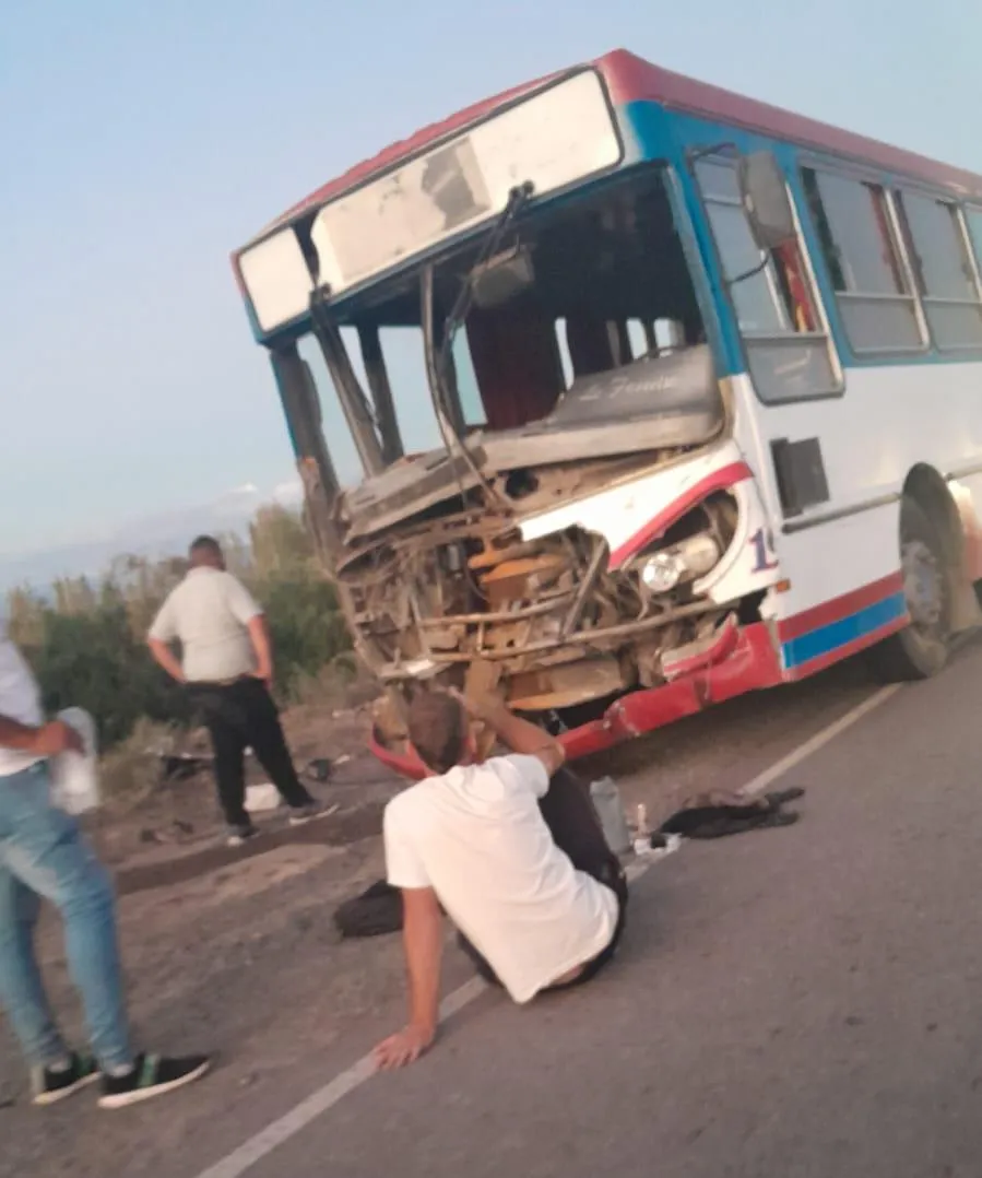 colectivo_crop1680907895891
