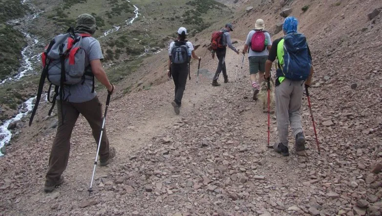 7988280635623a2109e75d19138039ba_L