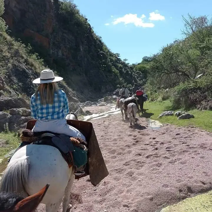 multimedia.normal.80730e11653d76b1.494d472d32303231303732322d5741303033315f6e6f726d616c2e6a7067