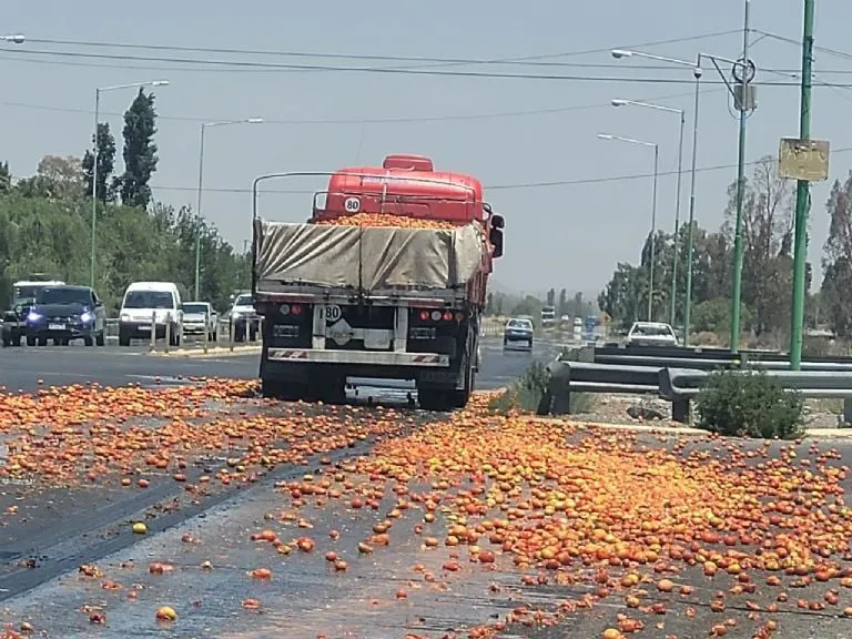 f768x1-357313_357440_5050