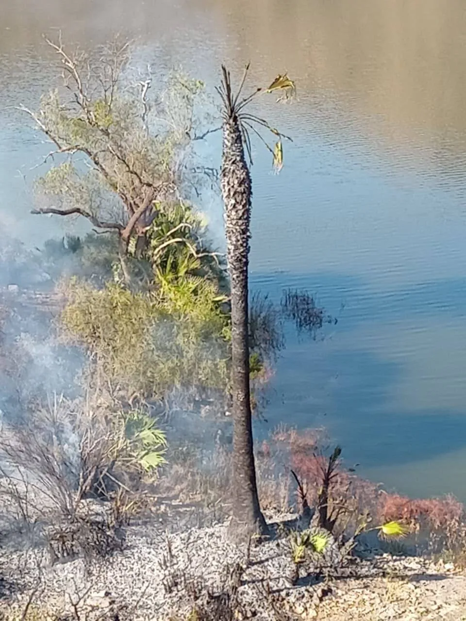 565215733_1239240021564285_1655670774988230527_n