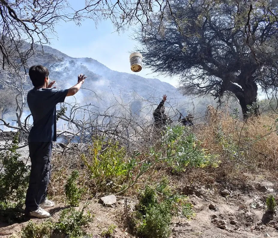 544052853_17890164480344414_1021492161847367483_n