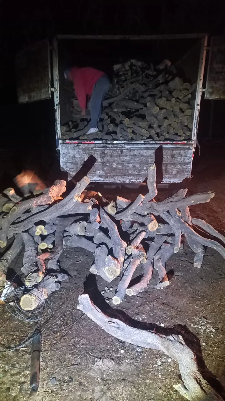 bab0340d-4e3c-4a65-96ca-c0d80de470bb