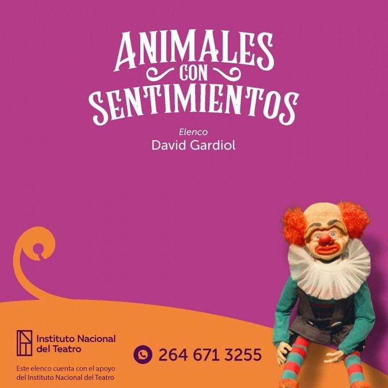 Animales-con-sentimientos-e1602366687218