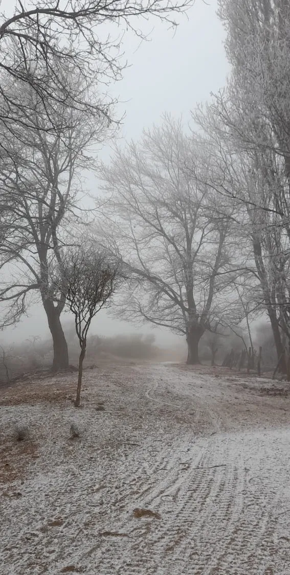 48926222-3f0e-4ce5-acdb-737b380c78b3