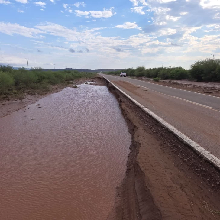 rutas-crecidas-Ruta-141-3101-1-728x728