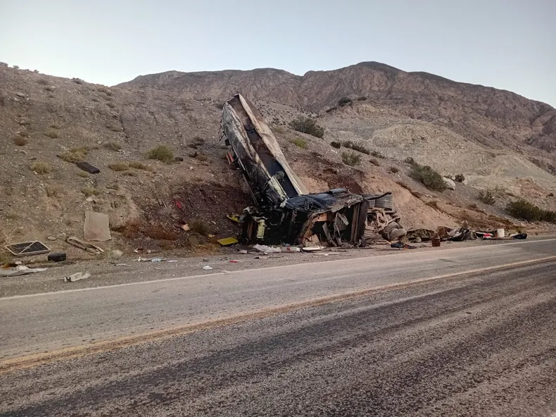 whatsapp-image-2025-03-17-at-093441jpeg