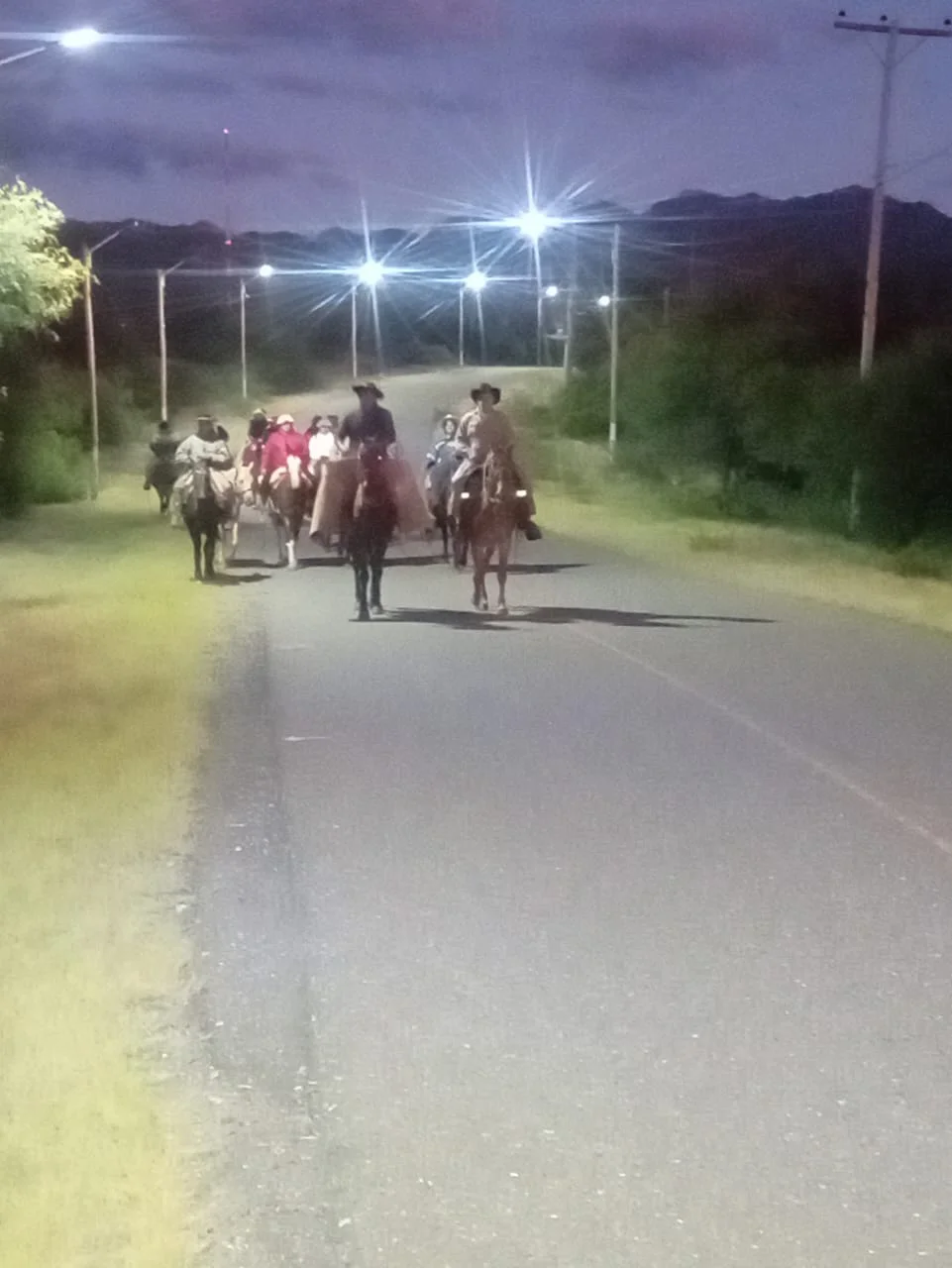 8c07781a-2eee-4003-a7fe-372d2048f30c