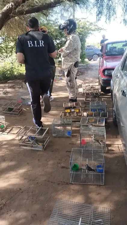 image - 2025-12-17T123026.445