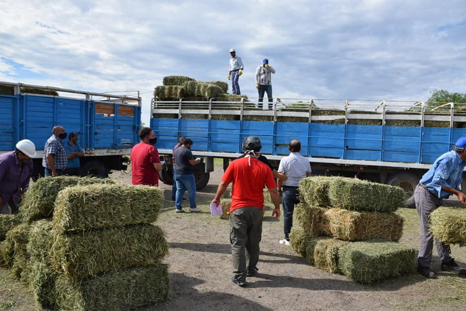 142640116_3759329187443592_7902497467445545169_n