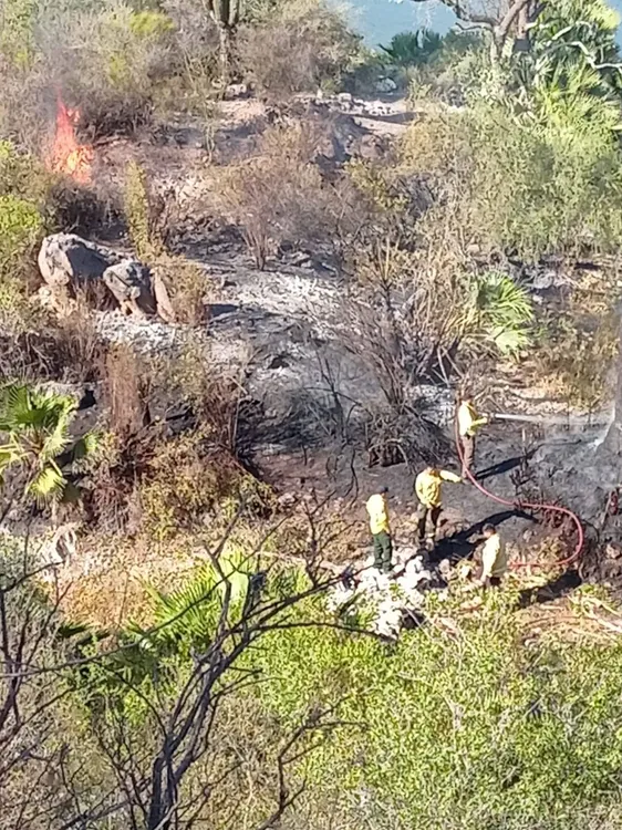 560095504_1239239971564290_3976981117224135188_n