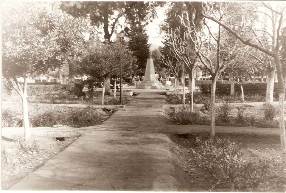 95461512_223988885574634_7255613876631240704_o