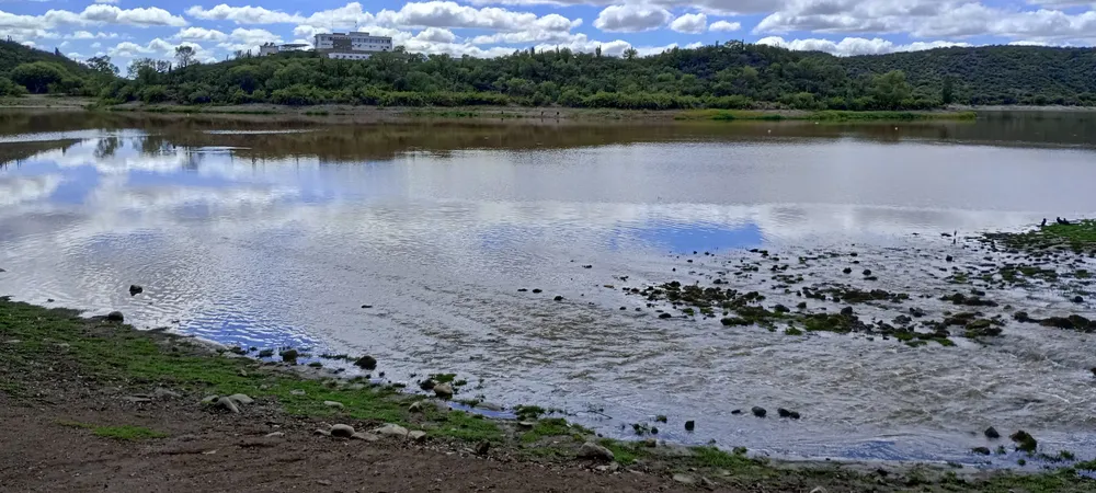 IMG_20250129_110044_HDR