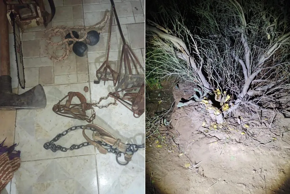 multimedia.normal.be24ff3b2b19f468.cGhvdG8tb3V0cHV0X25vcm1hbC5qcGVn