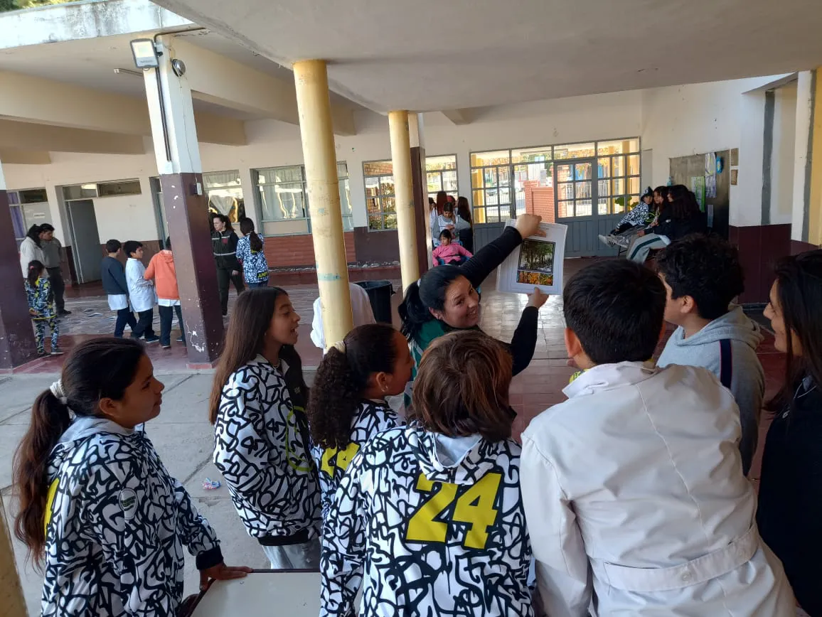 fae58516-b3e3-4d8c-93fa-21a761607ef0