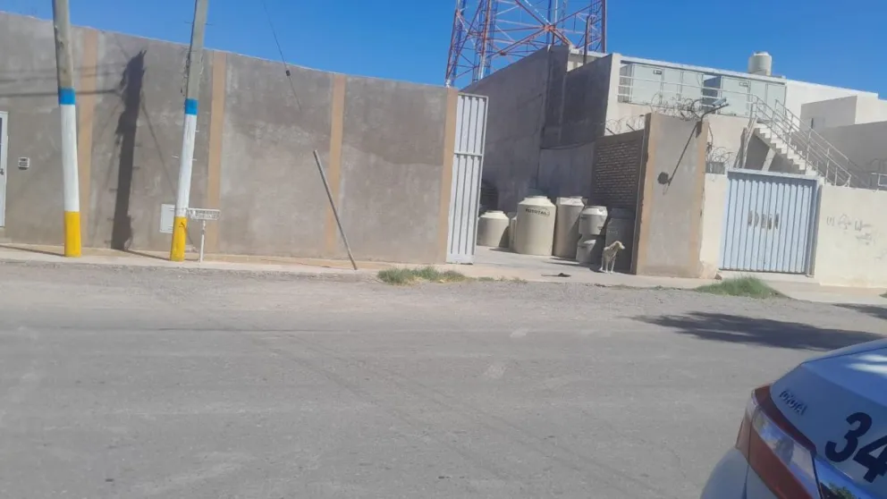 md - 2026-01-31T105435.221