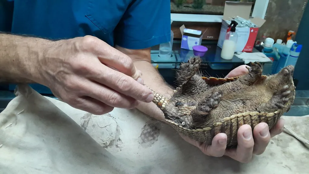 53451533980_5a0156cb7d_b