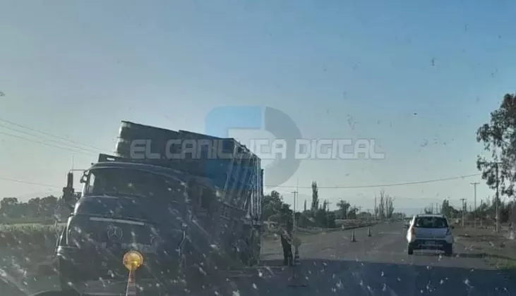 Camion-calle-La-Plata-731x420