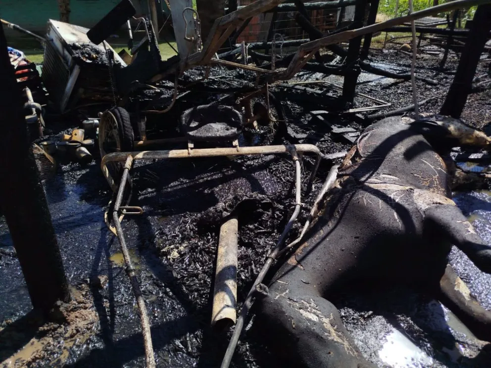 md - 2025-12-22T095731.098