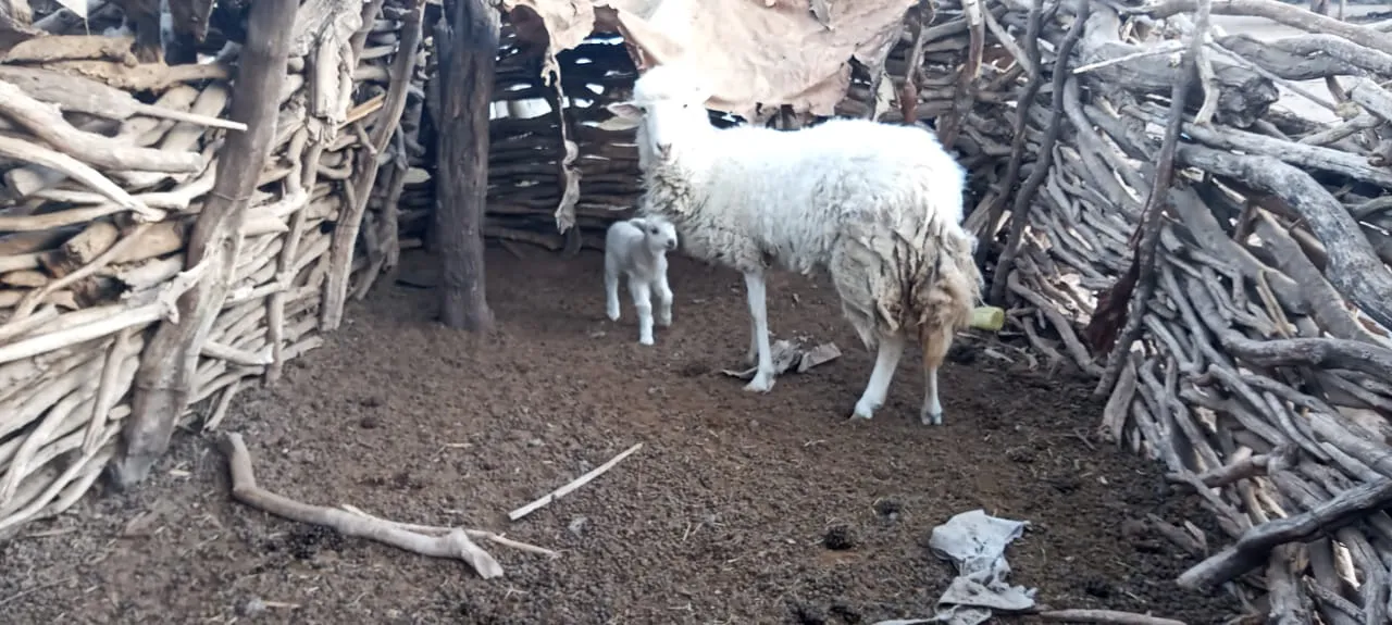 7e9ef16f-df74-45b6-b072-93b7e6c0e5fd