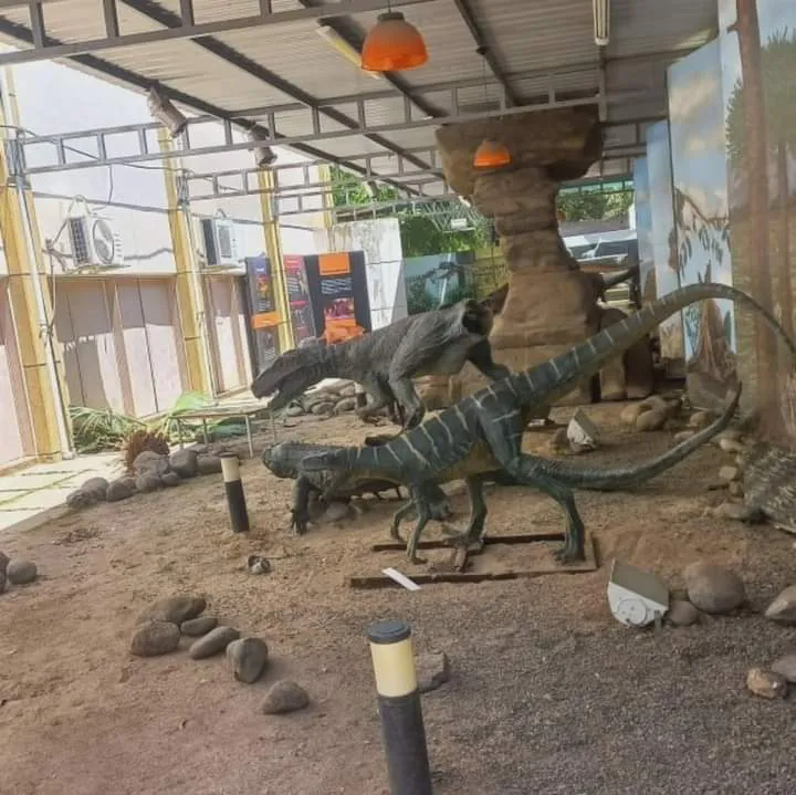 FB_IMG_1732631979012