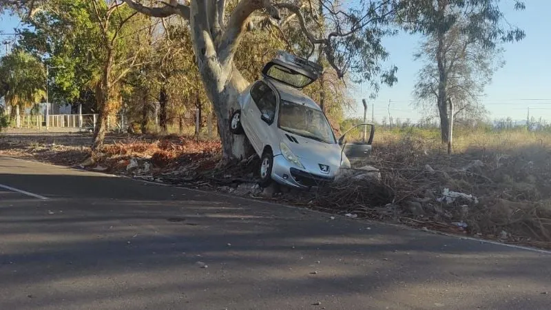 f800x450-403208_454654_5050