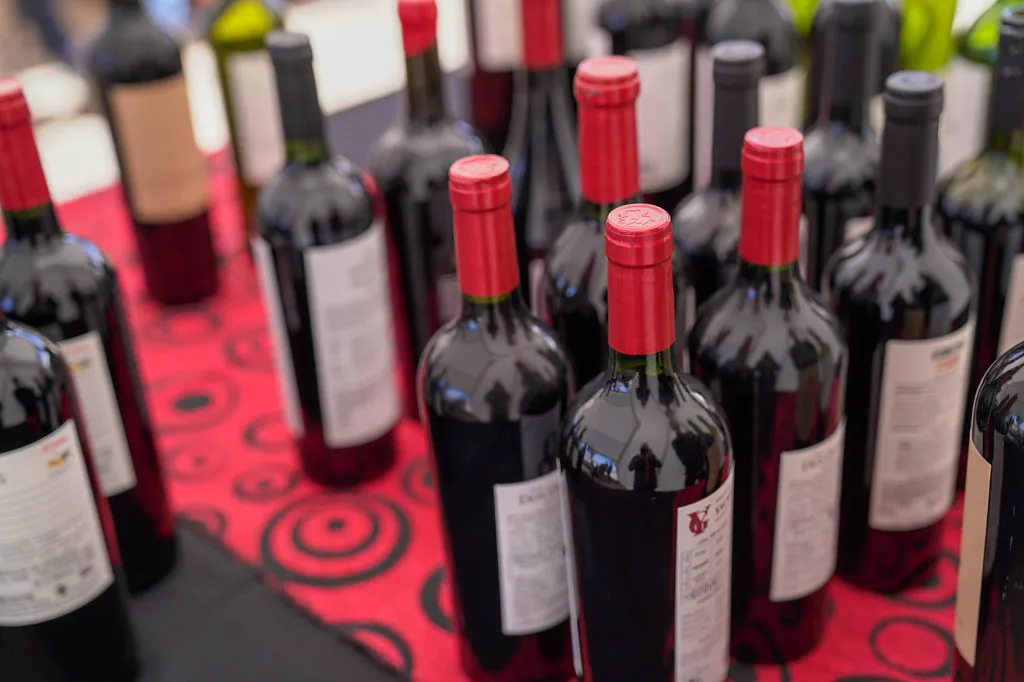 53103184965_db92fd081a_b